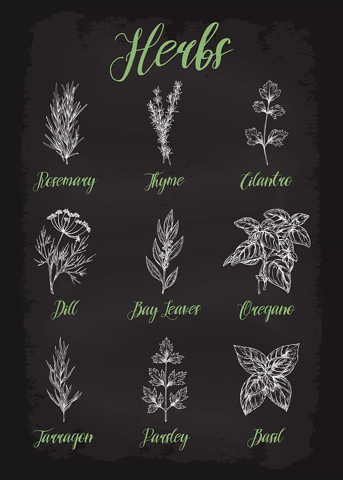 Herbs and Spices Guide