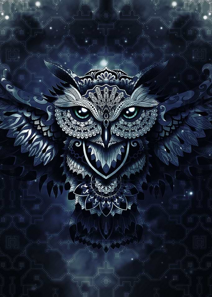 Shipibo Mandala Owl