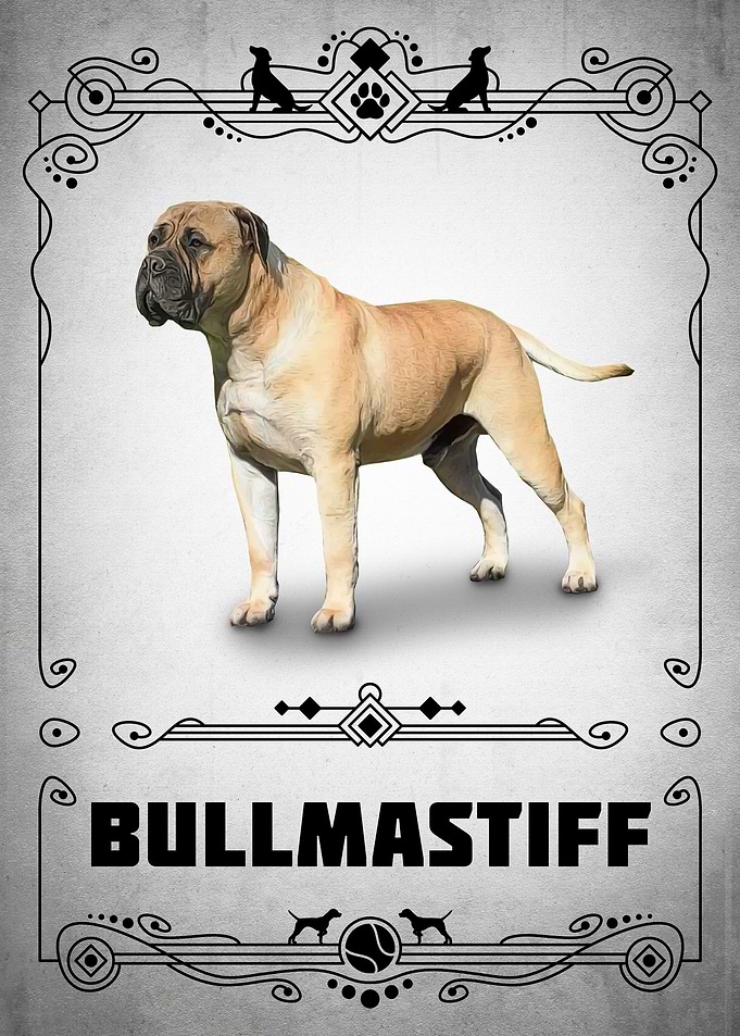 Bullmastiff