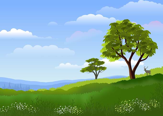 Landscape Decoration