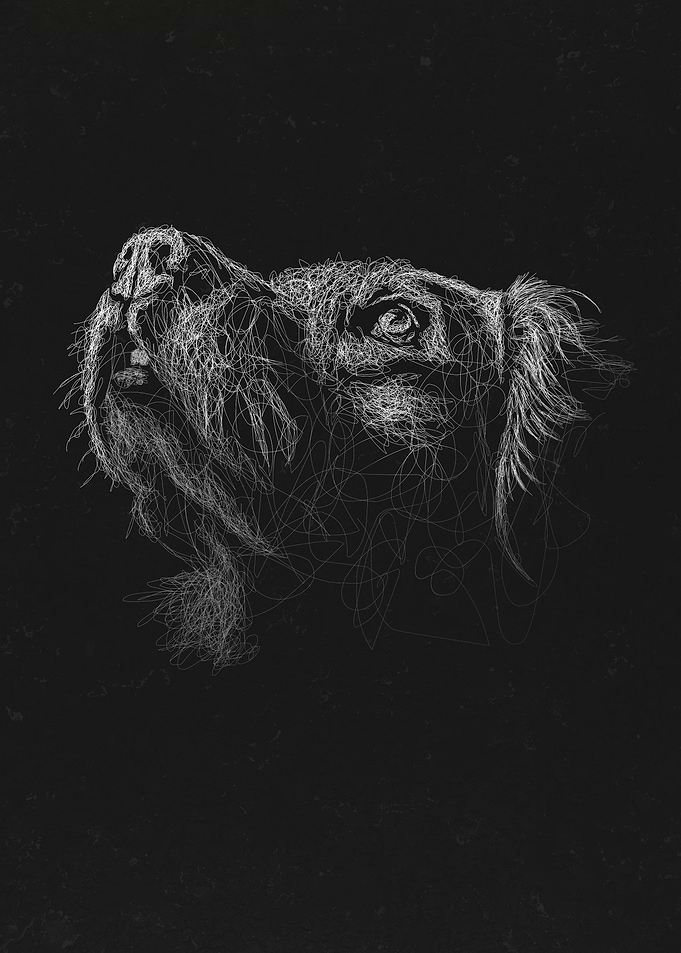 Dog Art