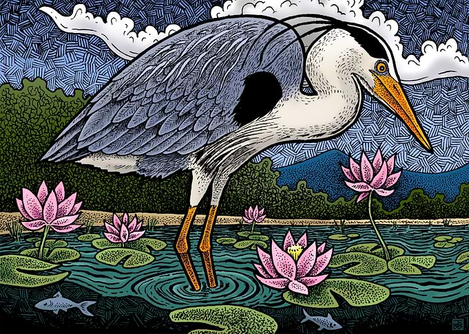 Heron and Lotus flowers