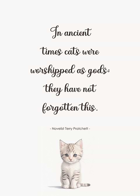 Cat Quote