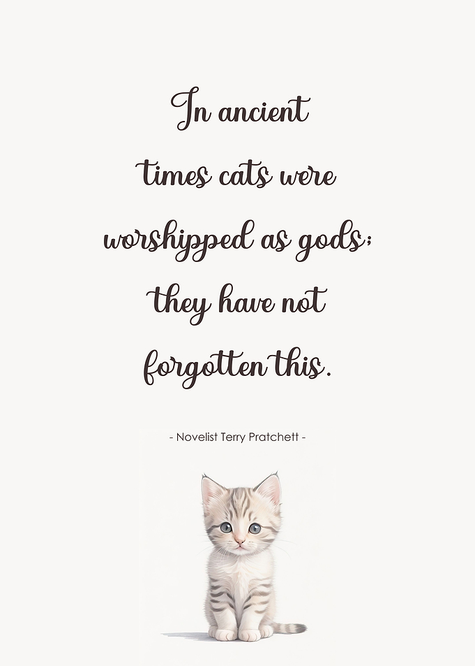 Cat Quote