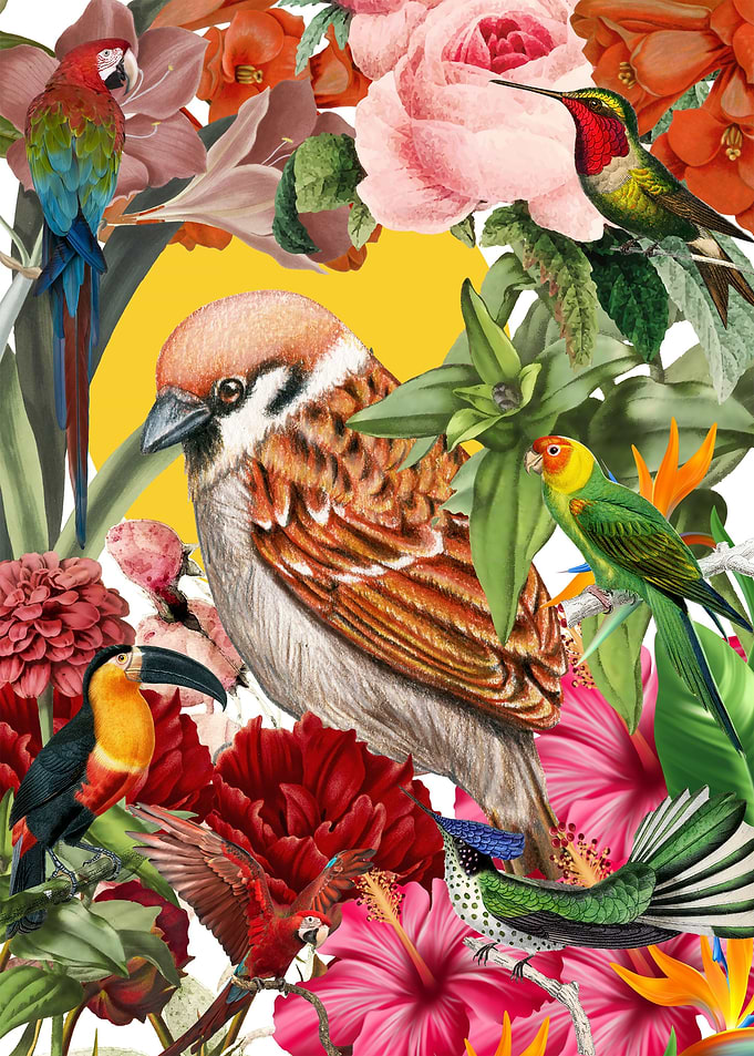 Tropical Paradise