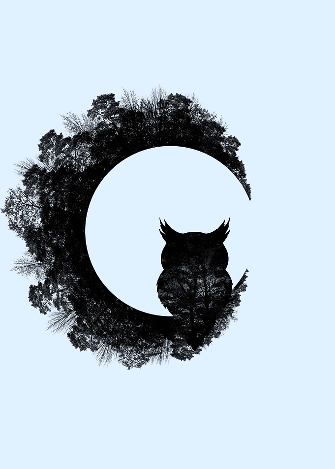 the Owl and forest