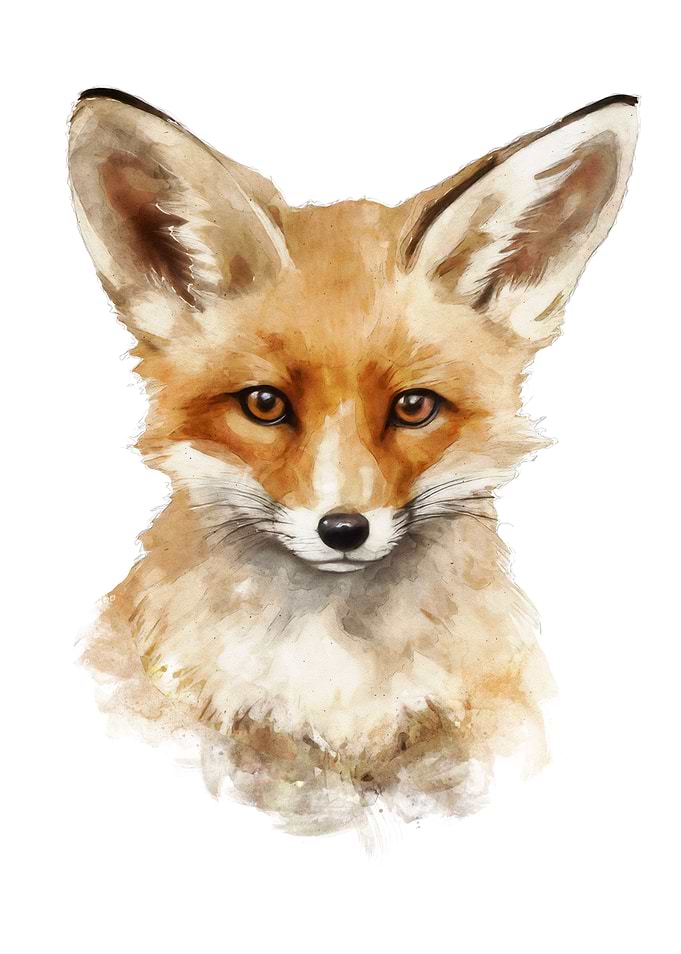 Cute Red Fox watercolor