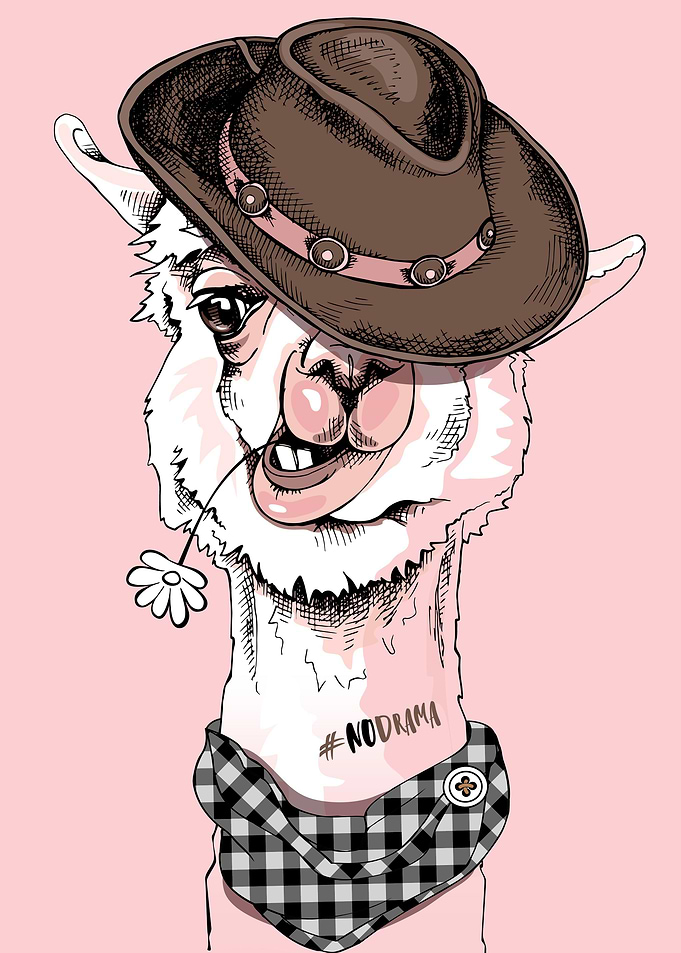 Cute Llama