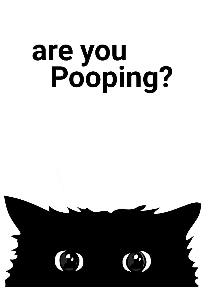 cat cute