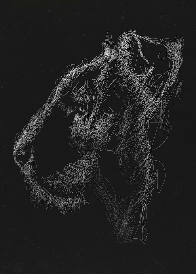 Lion white and black