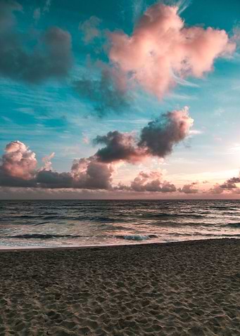 seashore during golden ho