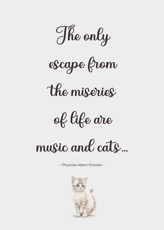 Cat Quotes