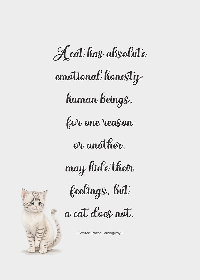 Cat Quotes