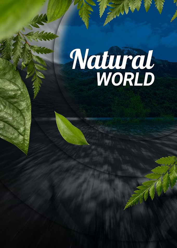 Nature poster design