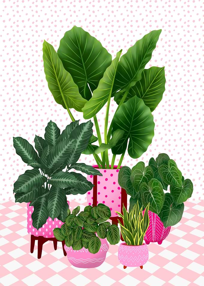 Pink And Plants