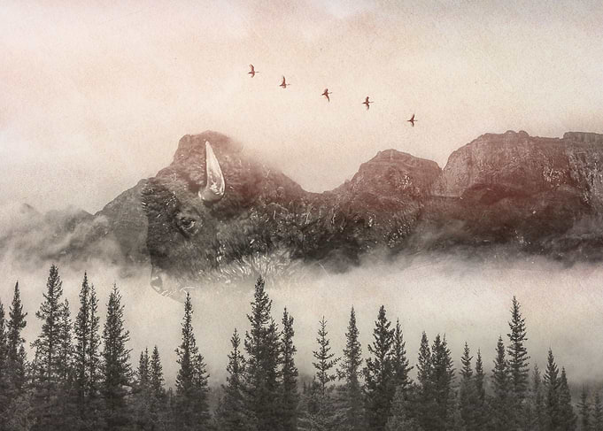 Wild Bison Mountain