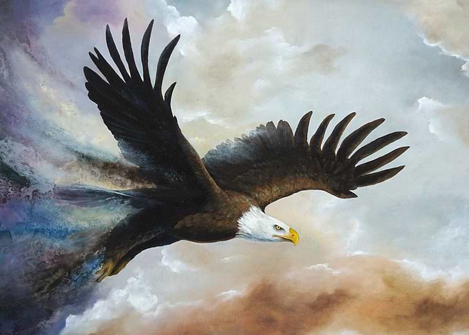 Soaring Eagle