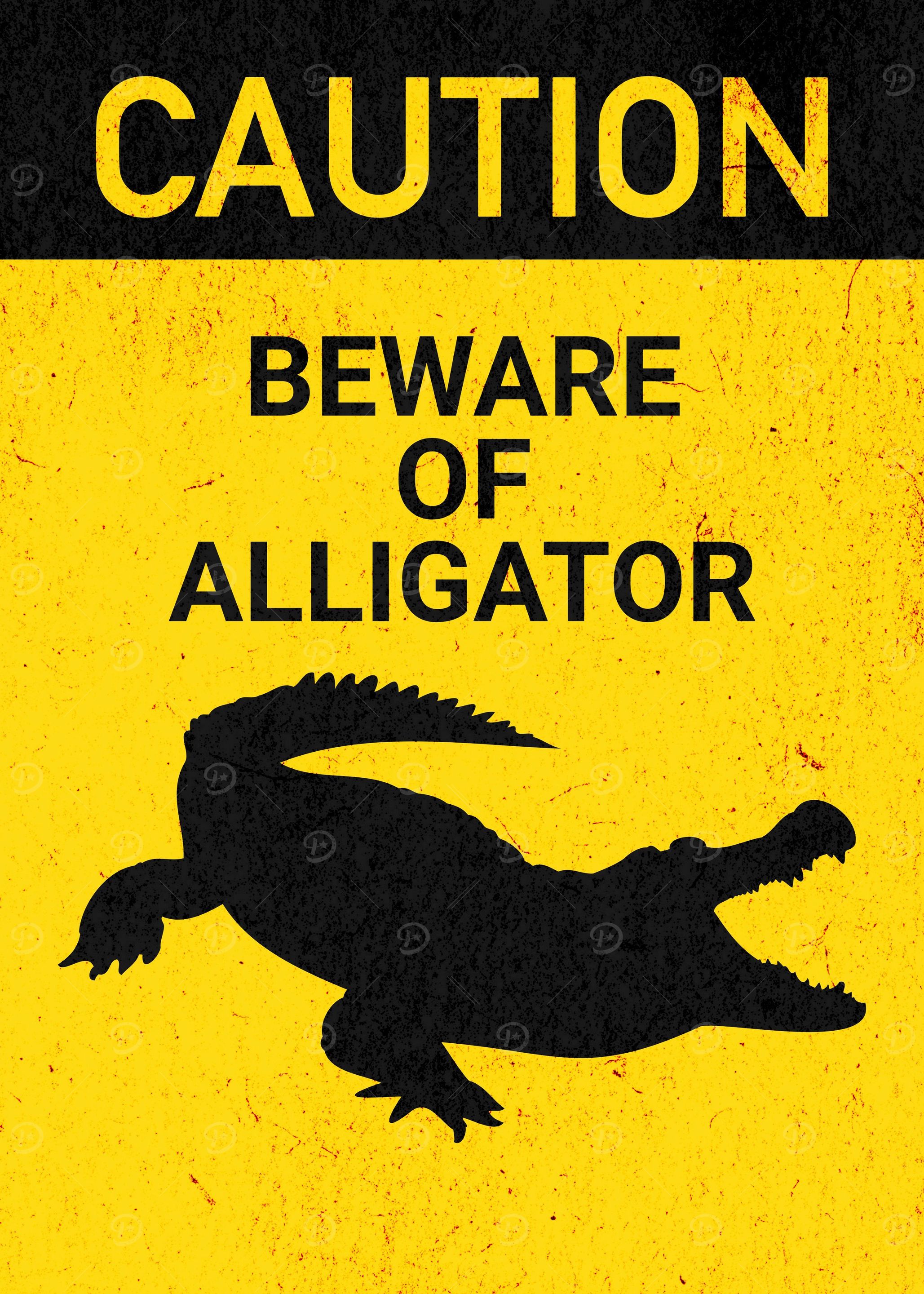 BEWARE OF ALLIGATOR FUNNY