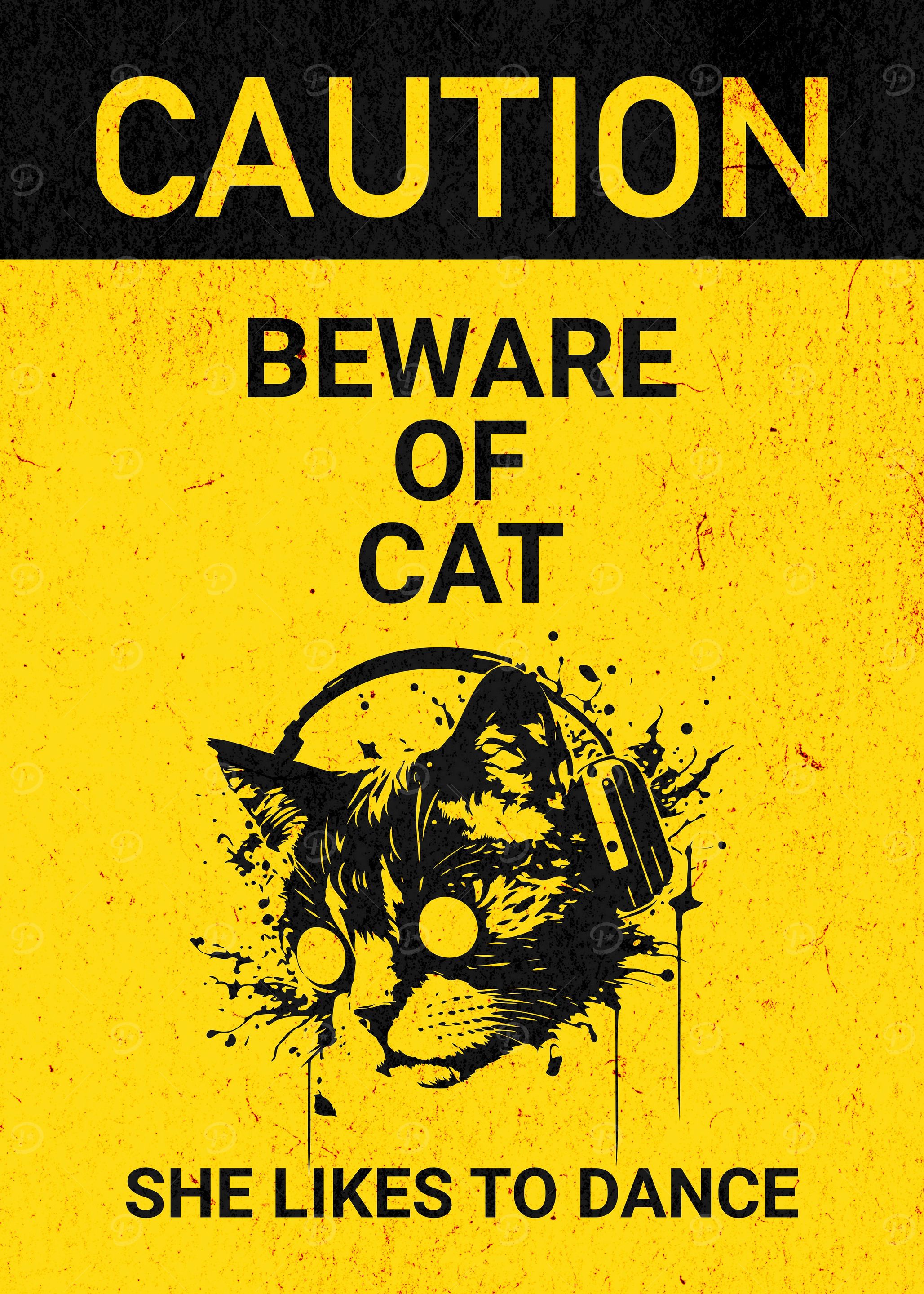 BEWARE OF CAT DANCE