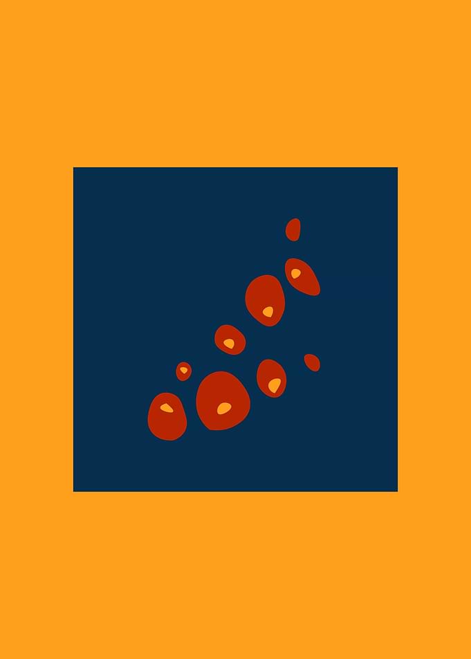 Rosehip berries