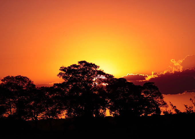 Fire sky