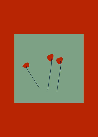 Poppy flowers