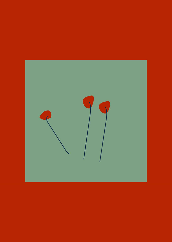 Poppy flowers