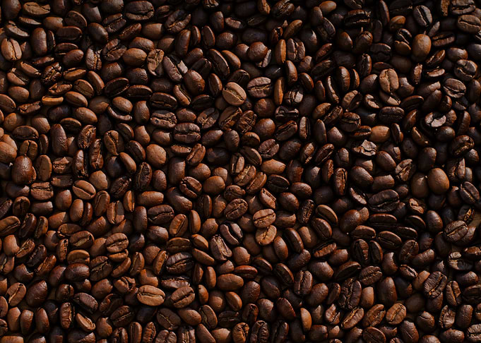 Coffee Bean Lot