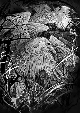White raven