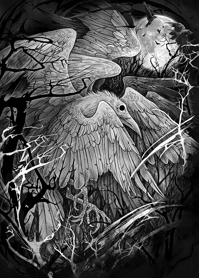 White raven