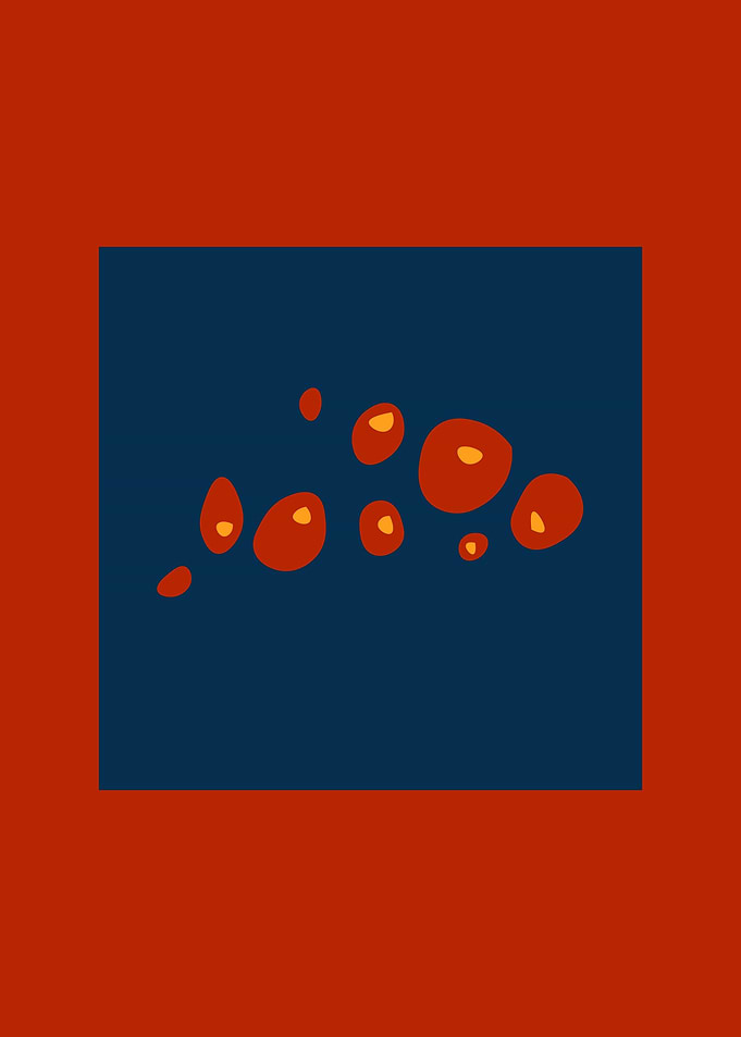 Winter berries