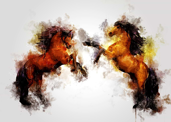 Horses