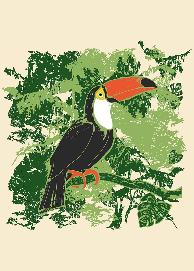 Toucan