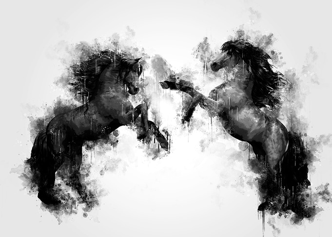 Horses BW