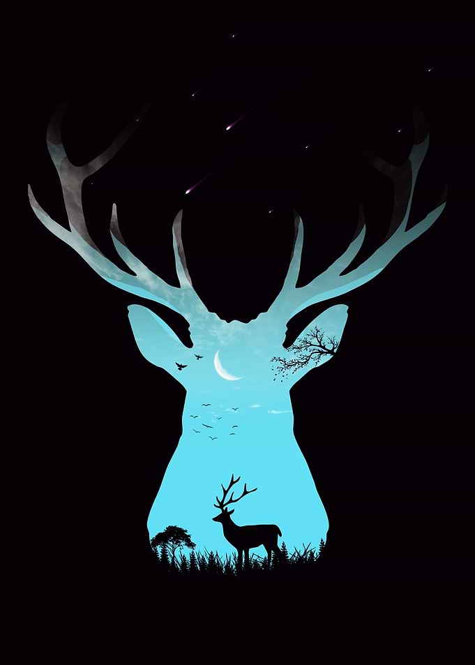 Animal Nature Deer