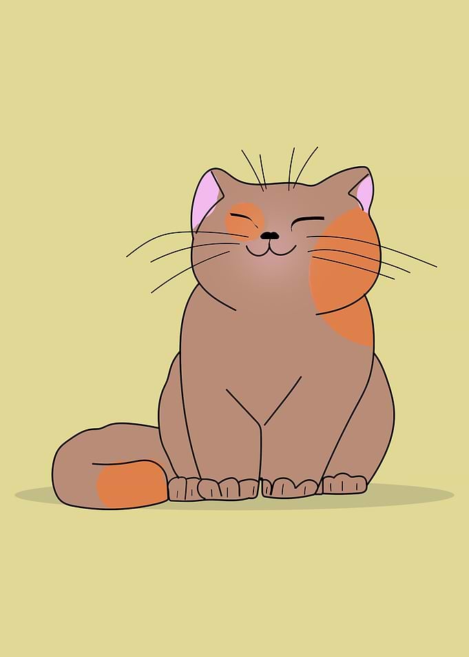 Funny Cute Smiling Cat