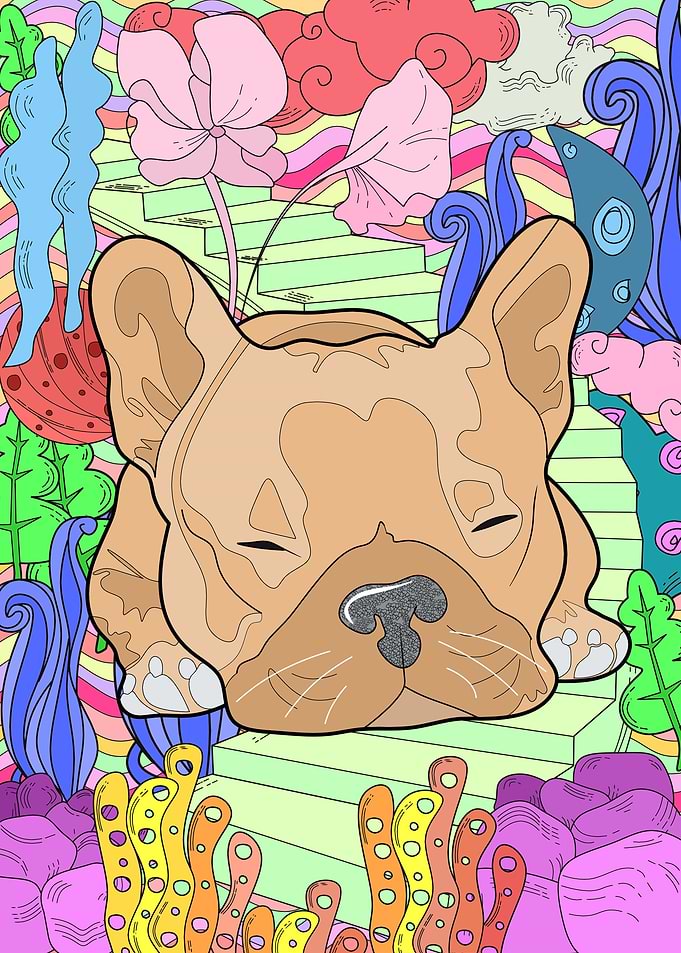 Dreaming French Bulldogs