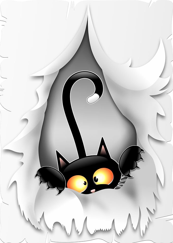 Cat in Fabric Hole