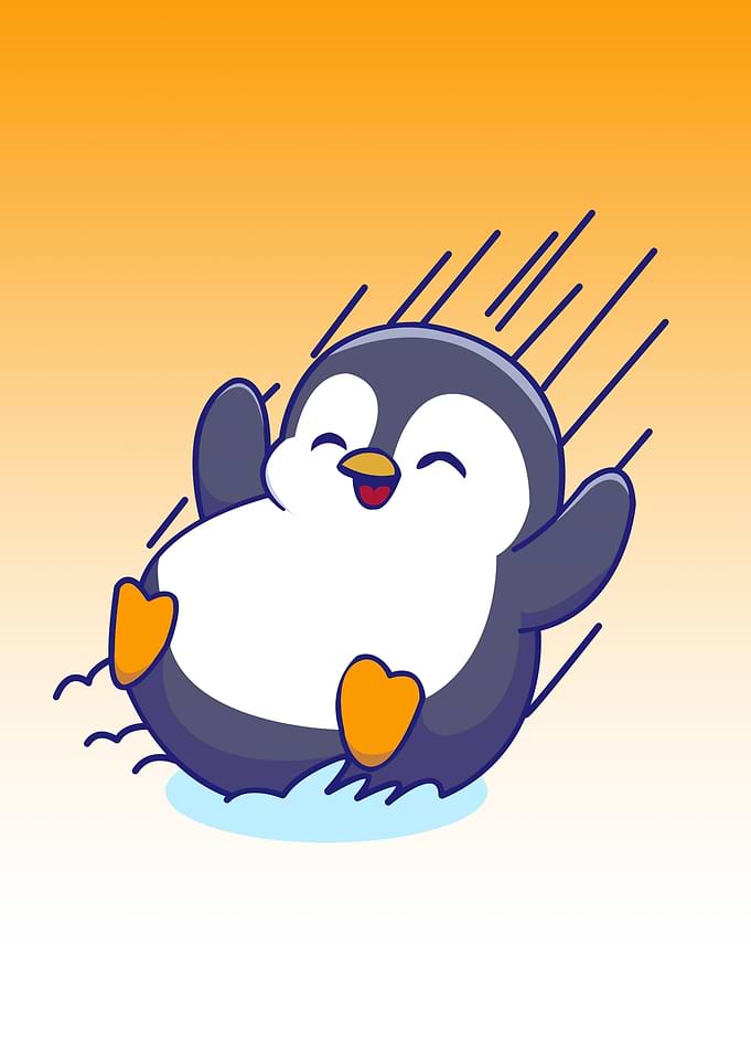 penguin animal