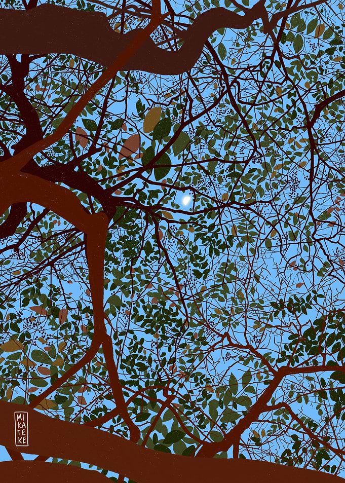 Morning Moon 20230806