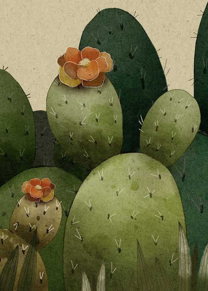 Moody Cacti