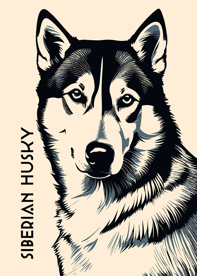 Siberian Husky