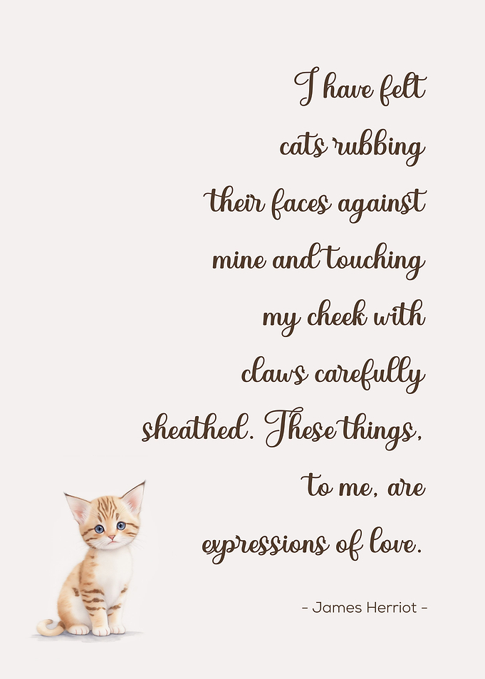 Cat Quote