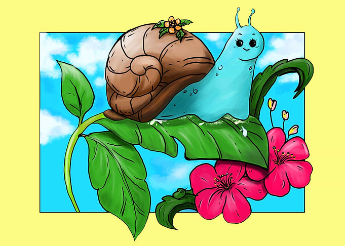 snail on a leaf