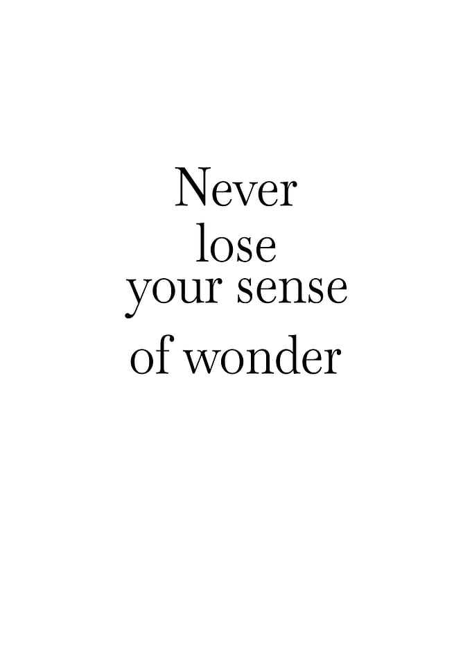 Wonder
