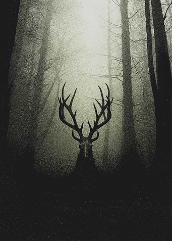 The Watcher in the Woods