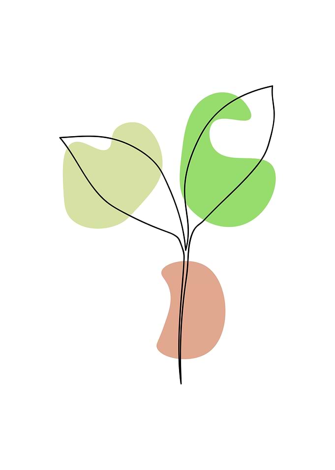 leaf line art