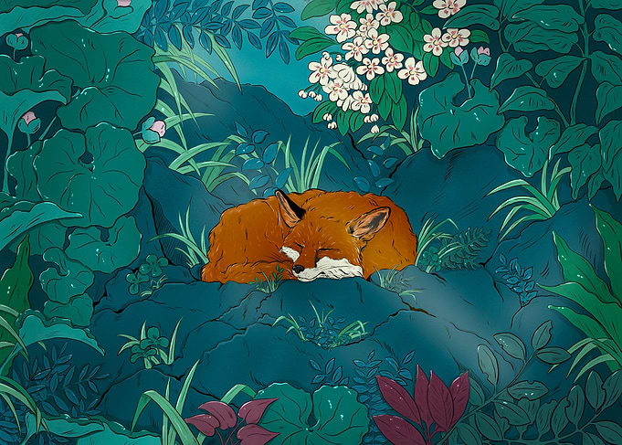 Fox in the forest