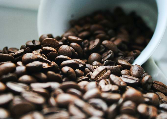 Nature Beans Cup