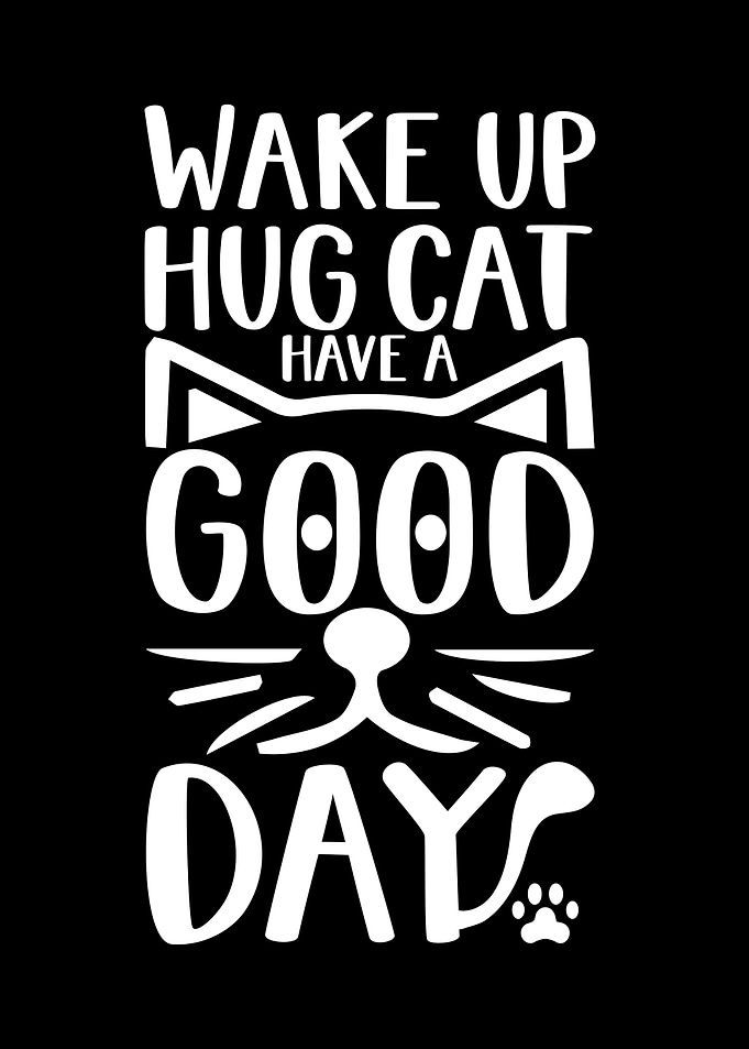 Cat Quotes Animal